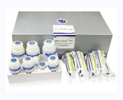 分子试剂盒组分