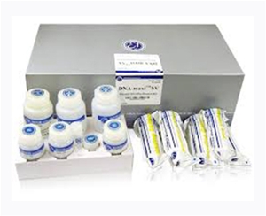 分子试剂盒组分